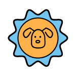 Сувенірна продукція