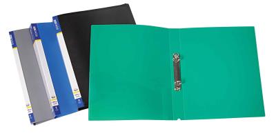 Папка пластиковая Economix 30701, А4, 2 кольца, ассорти