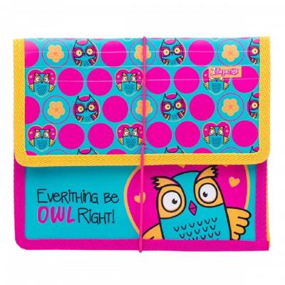 Папка для зошитів 1Вересня пласт. на резинці В5 "Owl"