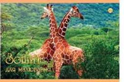 Зошит для малювання А4, Тетрада, 24 аркуші, 100г/м2, з перфорацією, 12/96 (12/96)