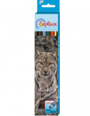 Карандаши цветные 6 цв.,"Фауна", 5-201/1, КРАСОК