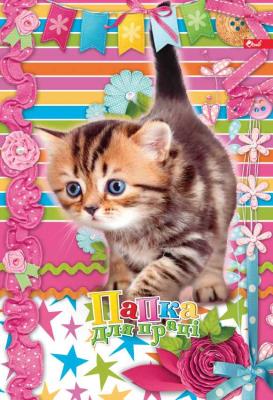 Папка для труда А4, на резинке