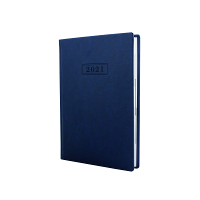 Дневник датированный 2022, NEBRASKA, 352 стр., Синий, А5, без поролона (1/20)