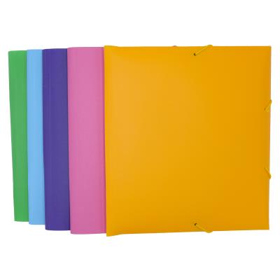 Папка пластиковая В5 на резинках Economix, фактура "бриллиант", ассорти