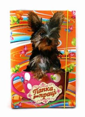 Папка для ручного труда на резинке А4, переплетный картон