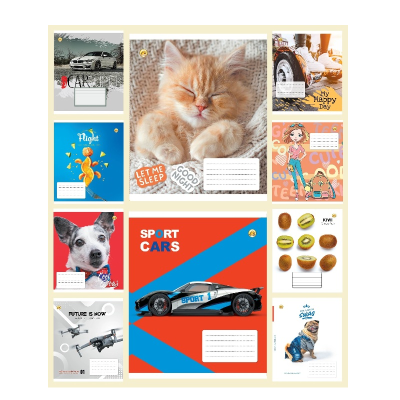 Зошит 18 арк. клітинка Люкс ТЕ11225 Мікс 1, 20/480 10к.