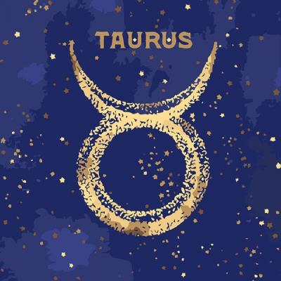 Набор для росписи по номерам. Краска "металлик" Знак зодиака "Телец", 50*50 см