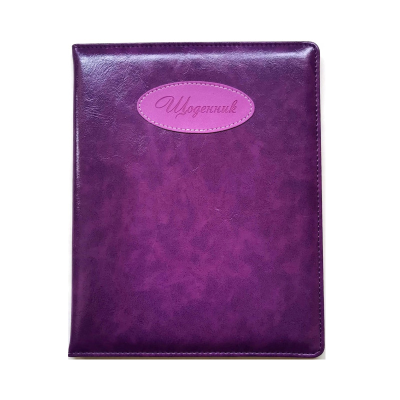 Щоденник шкільний SD1529, 167*211 мм, обкладинка штучна шкіра, 48 аркушів