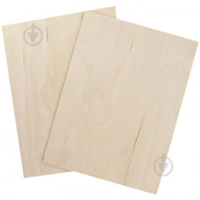 Заготовка для випалювання, 15x20см, фанера, 2шт. (1)