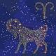Набір для розпису по номерах. Фарба "металік" Зоряний знак "Овен", 50*50 см (1)