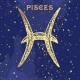 Набор для росписи по номерам. Краска "металлик" Знак зодиака "Рыбы", 50*50 см