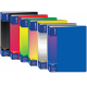Папка пластиковая со 100 файлами Economix, А4, ассорти, E30610 (1/6)