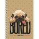 Блокнот А6, 60 аркушів, крафт картон, спіраль збоку «Student», SC-080-6027К (8/160)