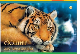 Зошит для малювання А4, Тетрада, 30 аркушів, 120г/м2, з перфорацією, 12/72 (12/72)
