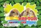 Набір картону кольорового А4, 9 аркушів,щільність 230г/м2, арт.00015 (1/50)
